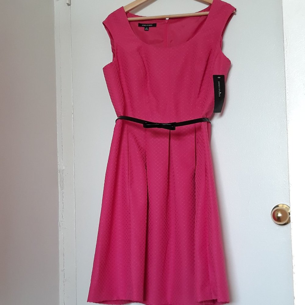 Jones Studio Fit and Flare Sleeveless Dress, Pink with Matching Black Belt